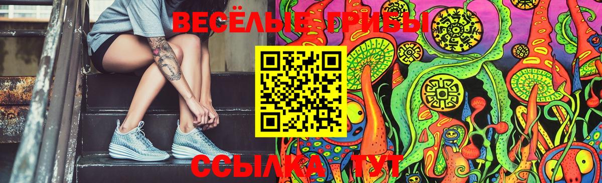 Сланцы  Псилоцибиновые грибы прущие грибы  Вход с VPN  Галлюциногенные грибы Psilocybe 