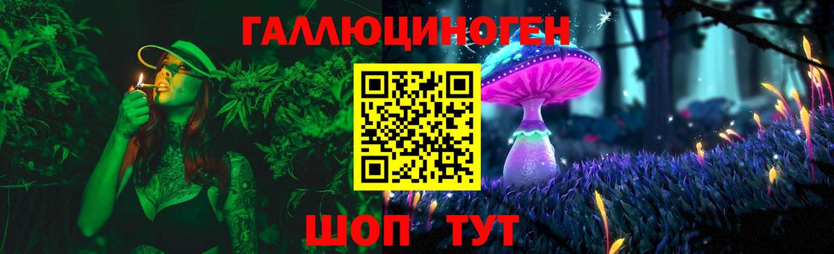 ГАШ Сланцы